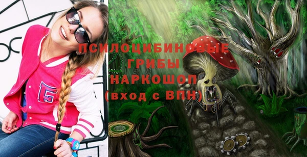 соль ск Алексин