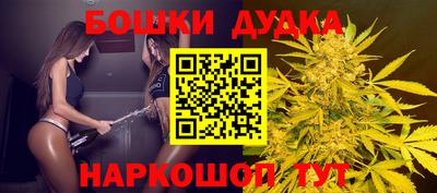 mdpv Лесосибирск