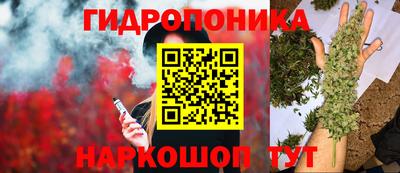 mdpv Лесосибирск