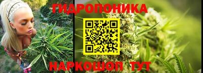mdpv Лесосибирск