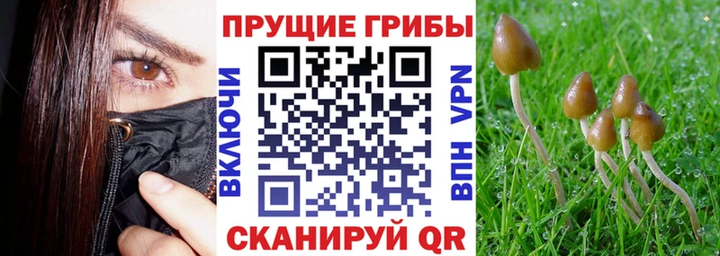 Галлюциногенные грибы мицелий  kraken рабочий сайт  Нефтекумск 