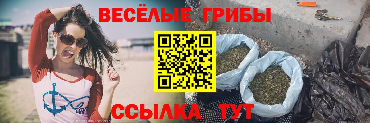 Нефтекумск  Галлюциногенные грибы GOLDEN TEACHER  Галлюциногенные грибы мухоморы  Вход с VPN 