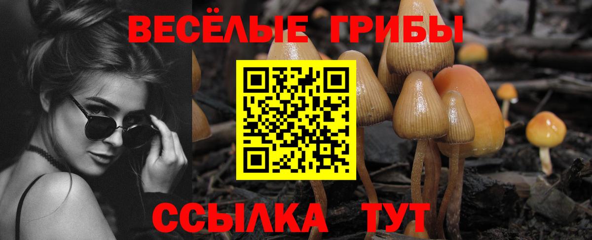 Галлюциногенные грибы мицелий Нефтекумск