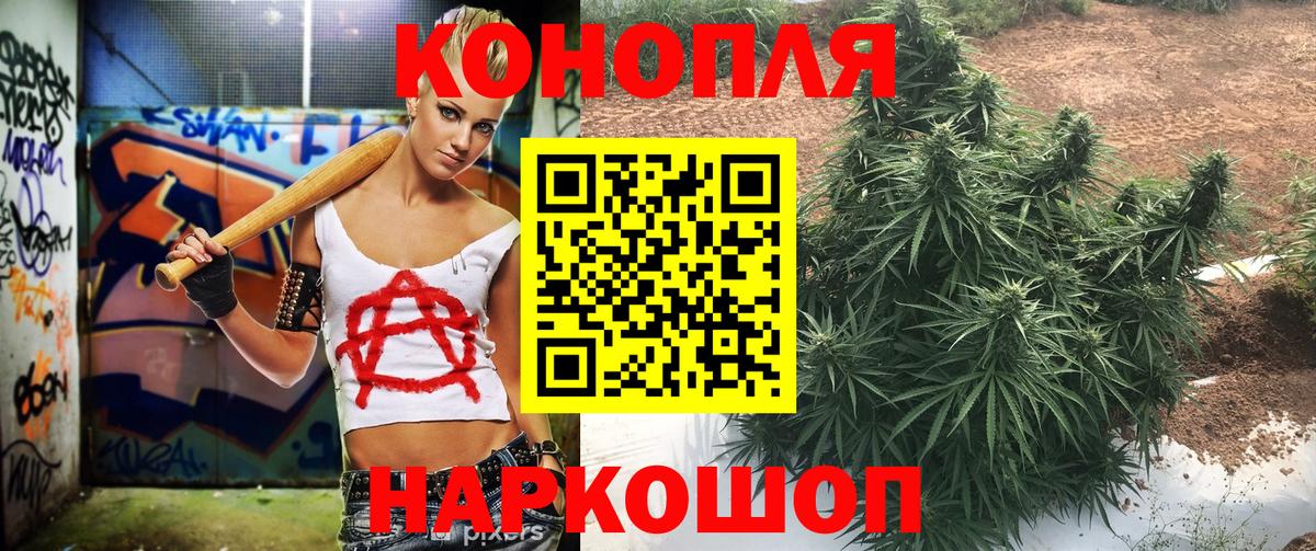 Бошки марихуана VHQ  Вход с VPN  Бошки Шишки MAZAR  Нефтекумск  Шишки марихуана OG Kush 